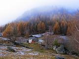 VALTELLINA - Alpe Colina - 047